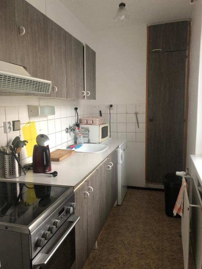 Apartman Na Horach Zlata Olesnice  ภายนอก รูปภาพ
