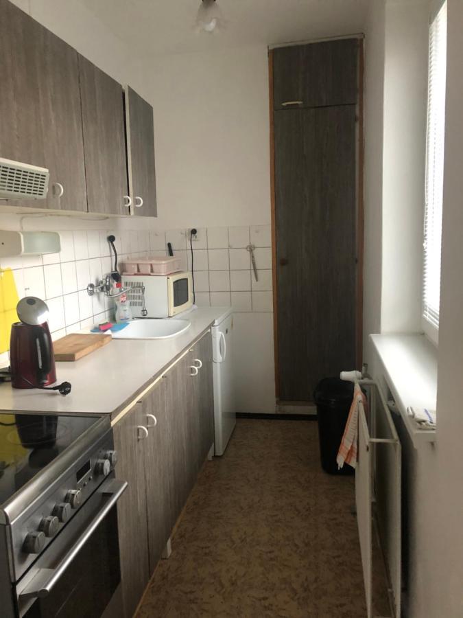 Apartman Na Horach Zlata Olesnice  ภายนอก รูปภาพ